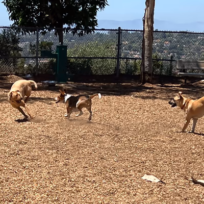 Ann D. L'Heureux Memorial Dog Park